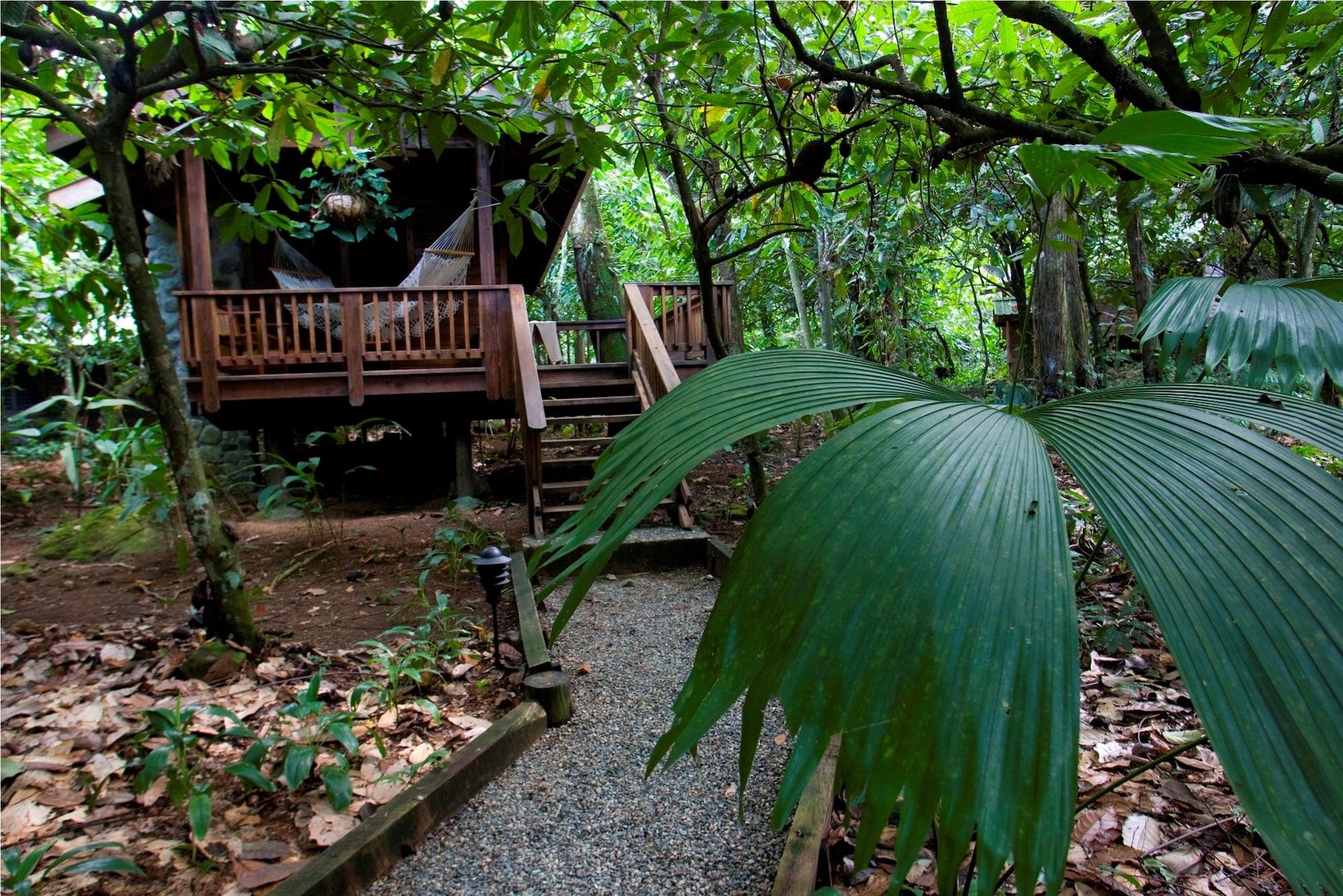 The Lodge & Spa At Pico Bonito El Pino Exterior foto