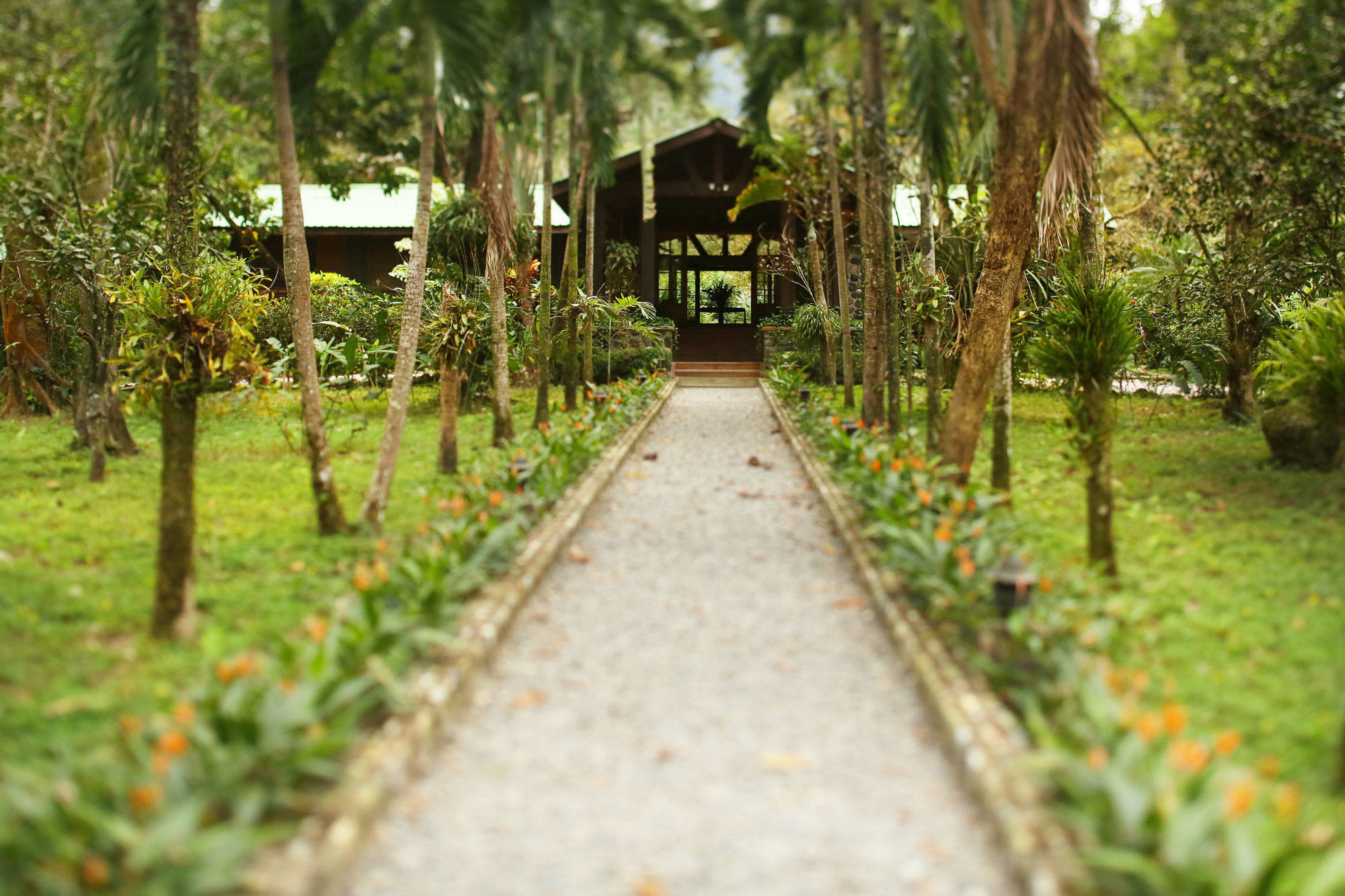 The Lodge & Spa At Pico Bonito El Pino Exterior foto