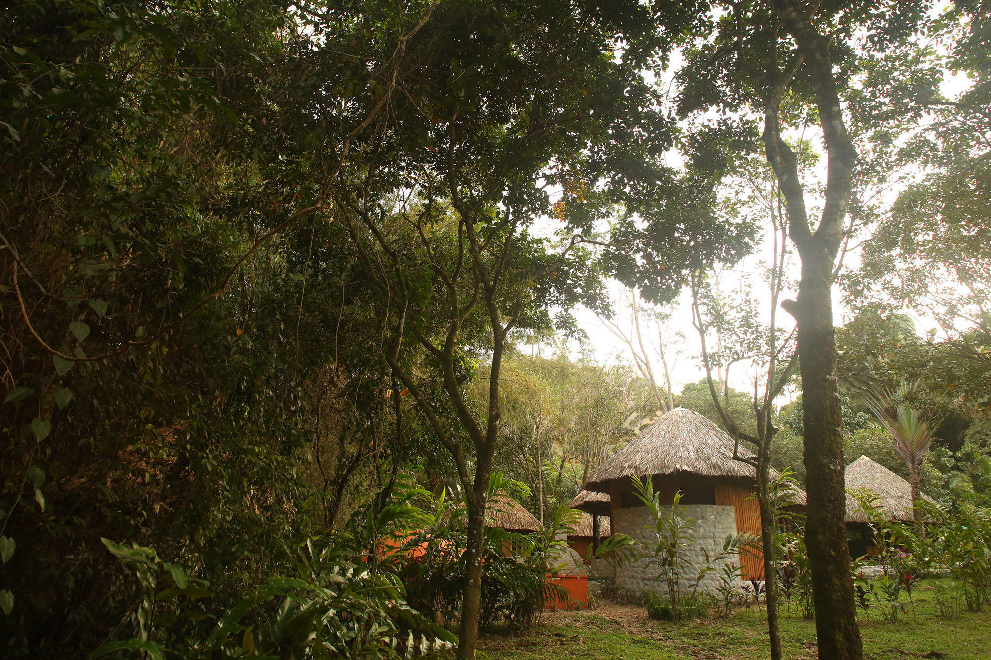 The Lodge & Spa At Pico Bonito El Pino Exterior foto